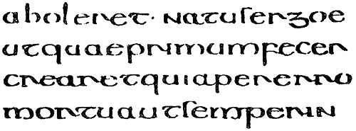 Biblical commentary